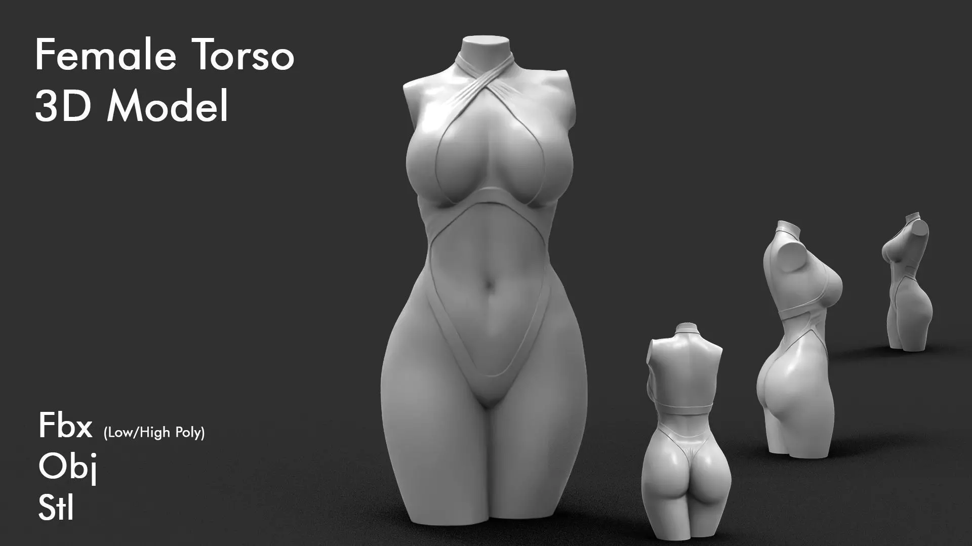 Female Torso 6 3D print model_0