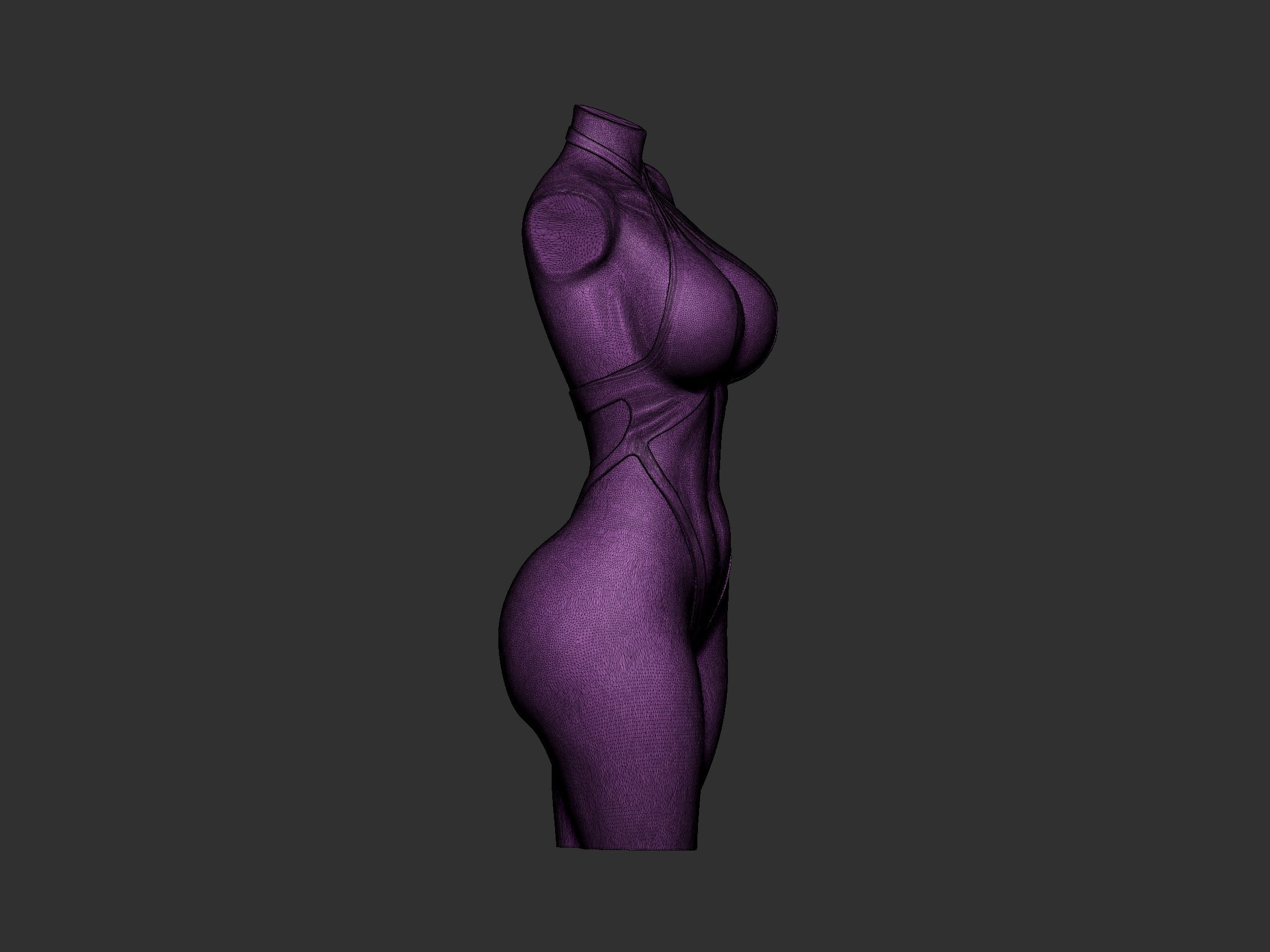 Female Torso 6 3D print model_14
