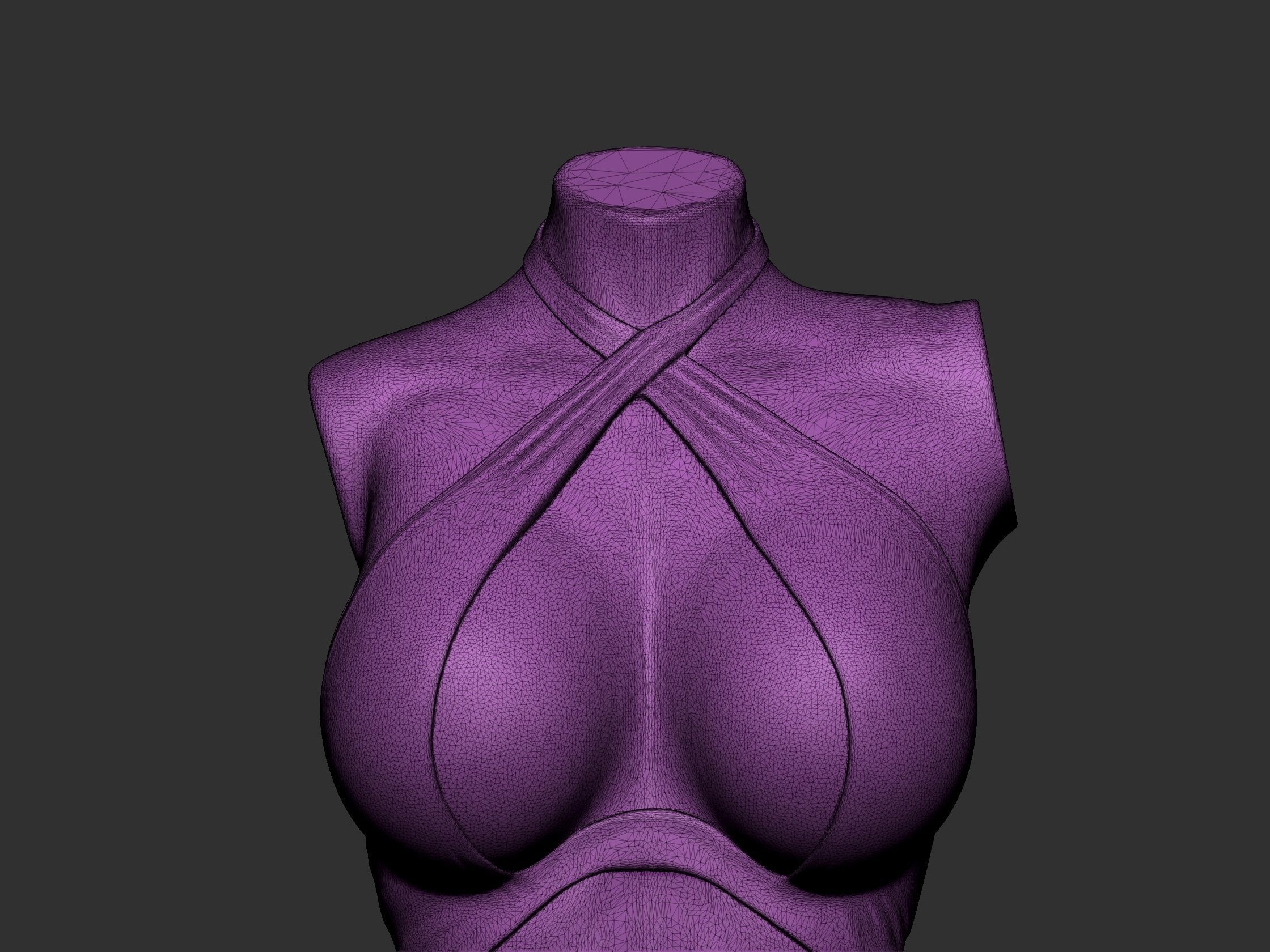 Female Torso 6 3D print model_13