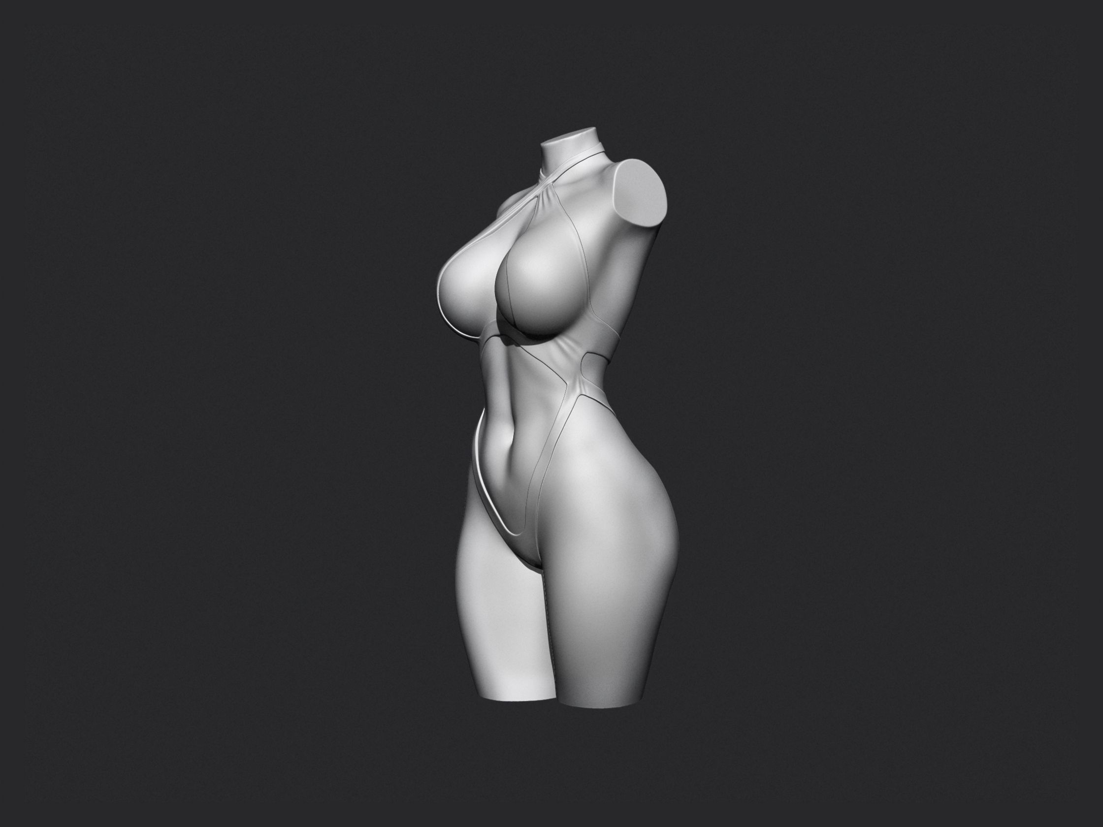 Female Torso 6 3D print model_9