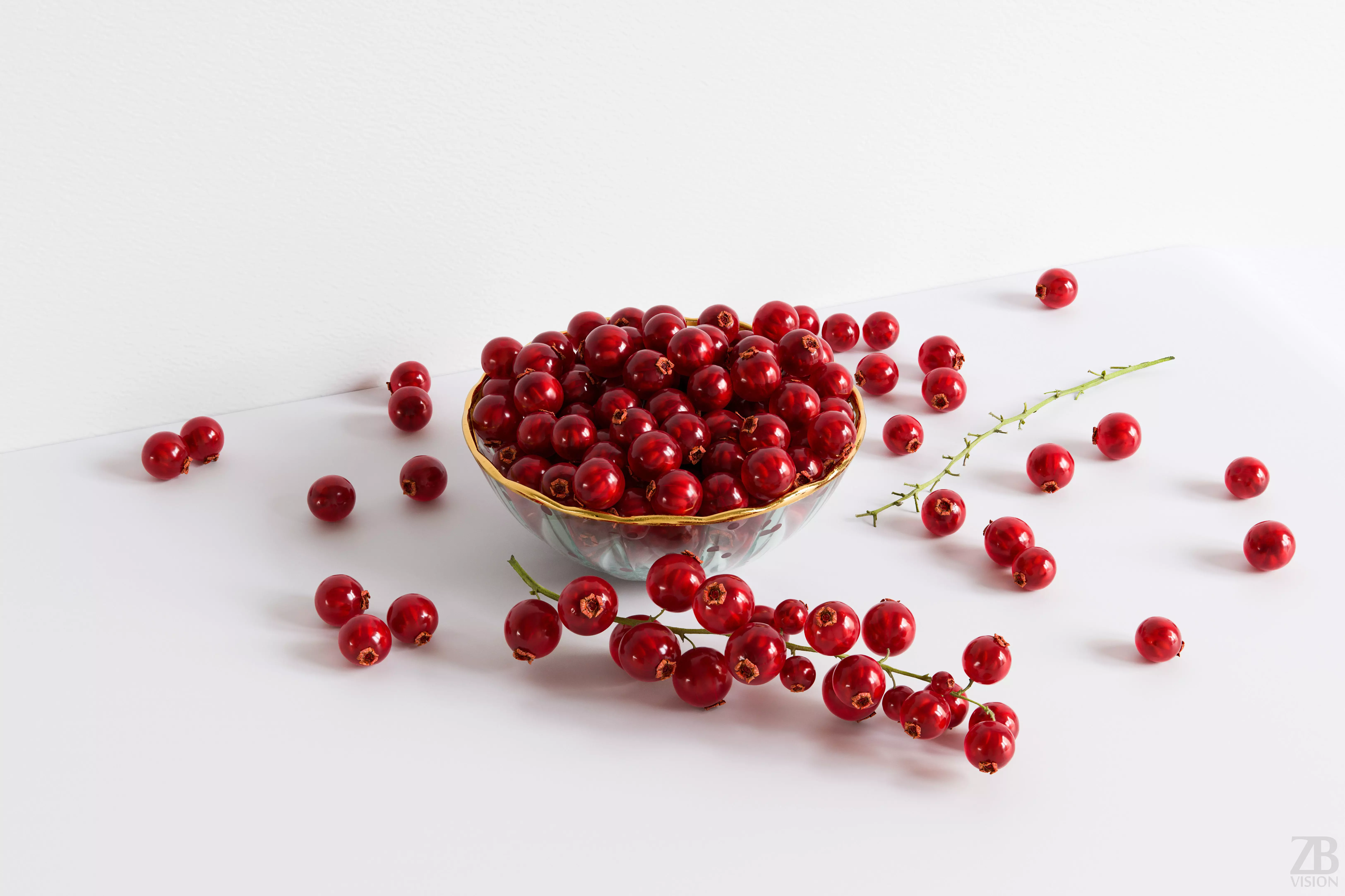 Currant 3D model_0