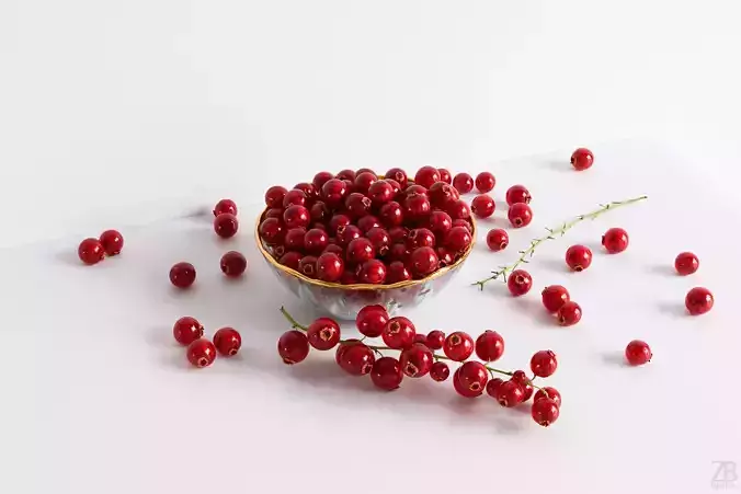 Currant 3D model