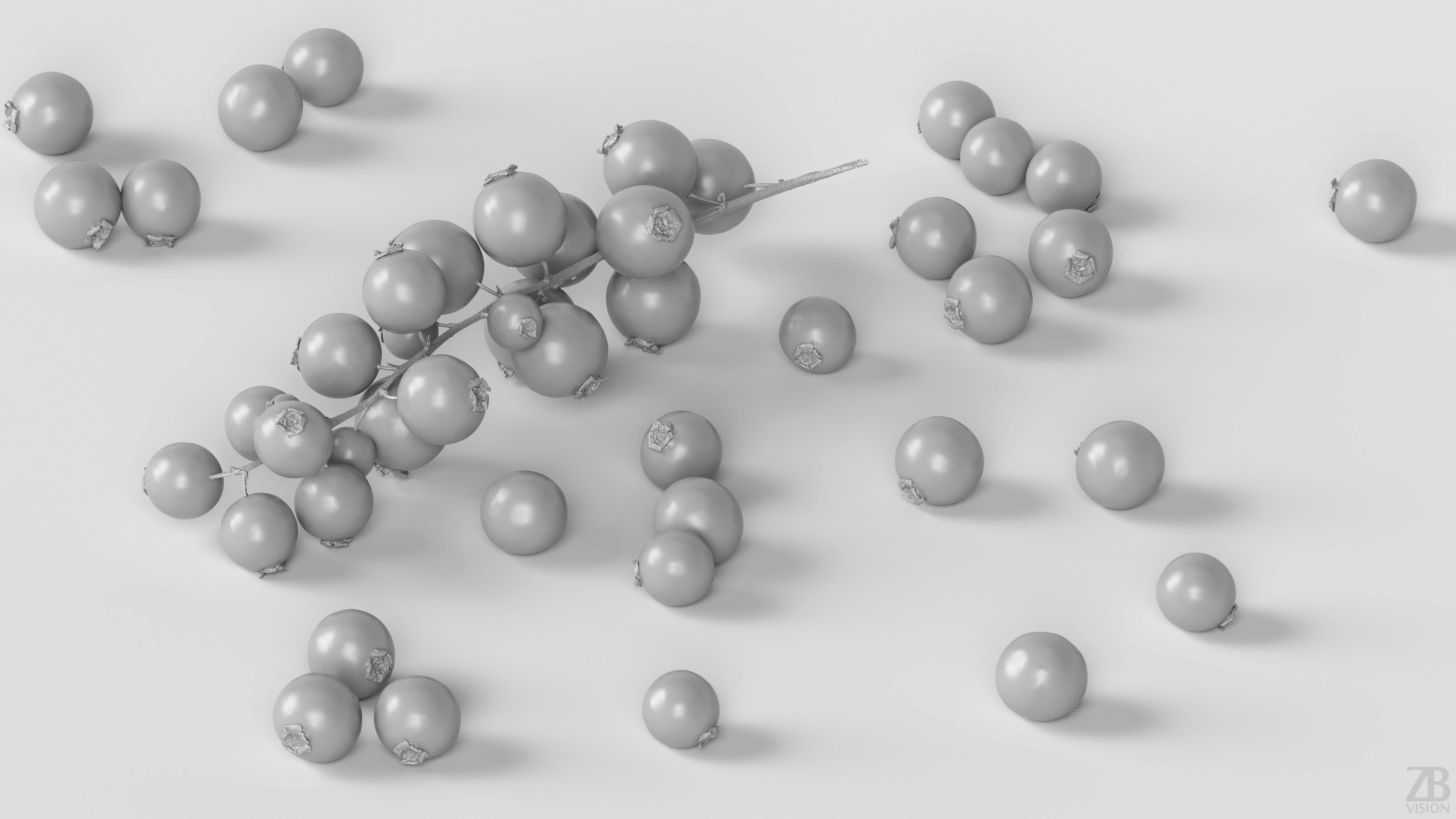Currant 3D model_3