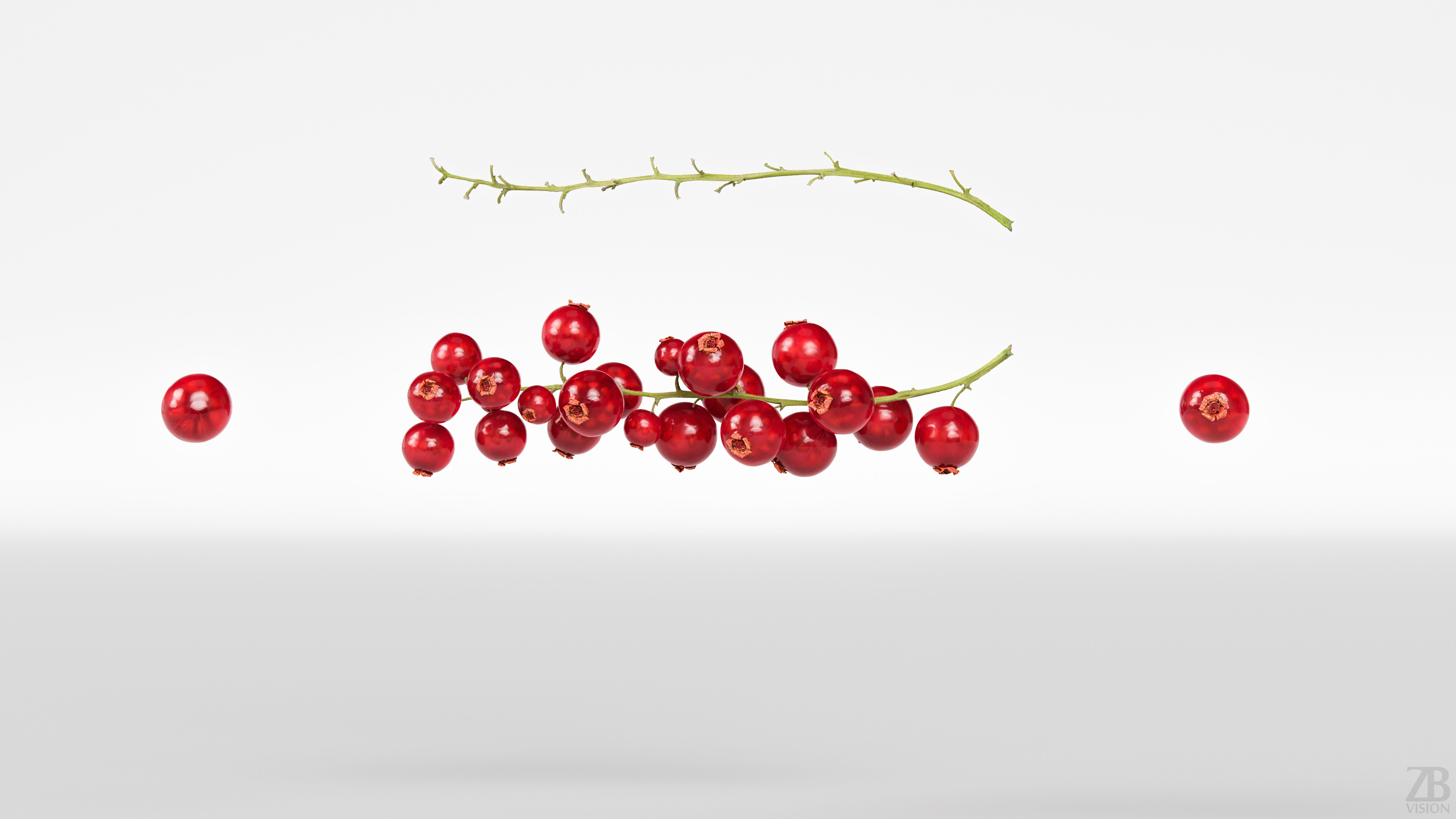 Currant 3D model_4