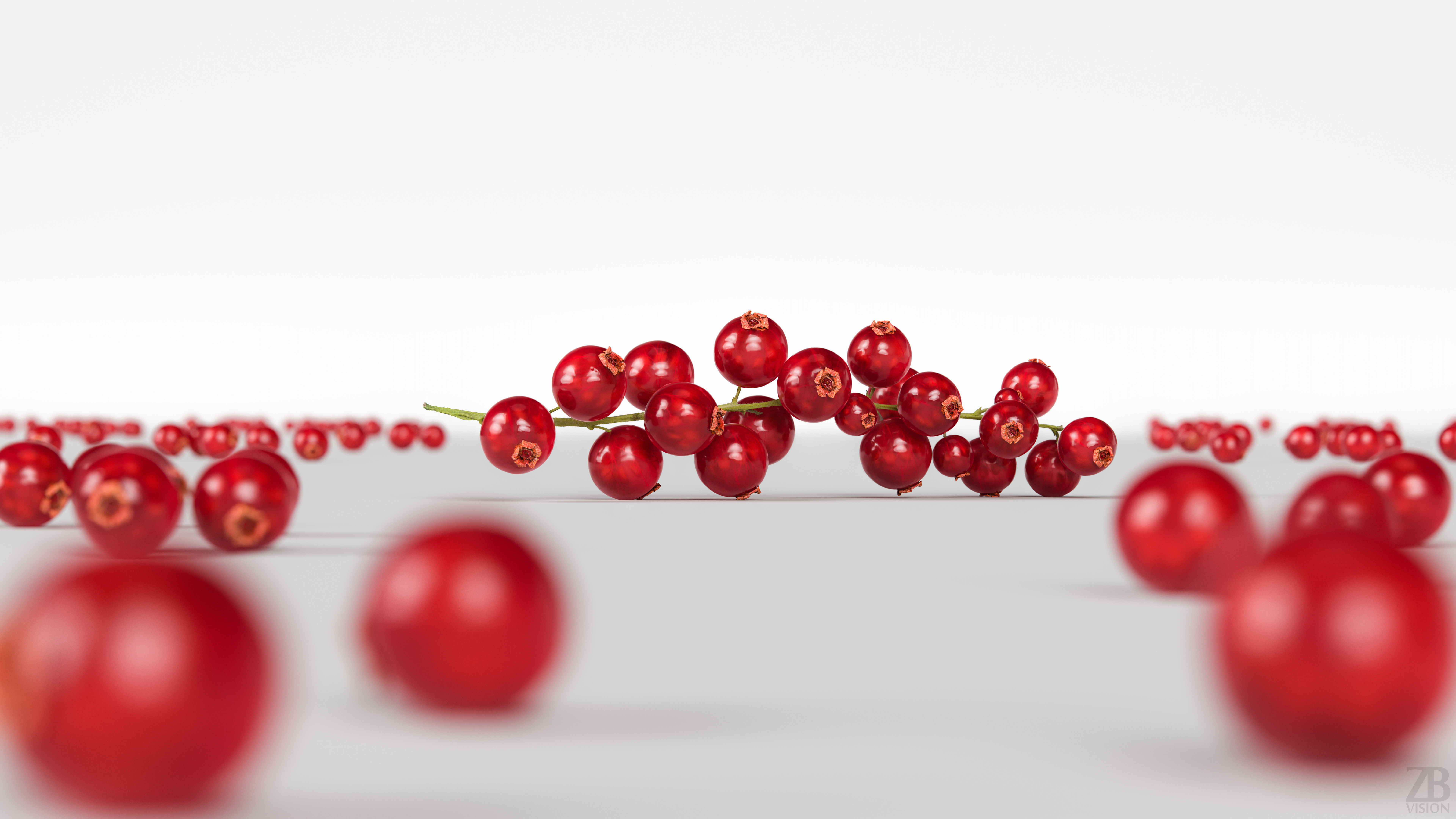 Currant 3D model_1