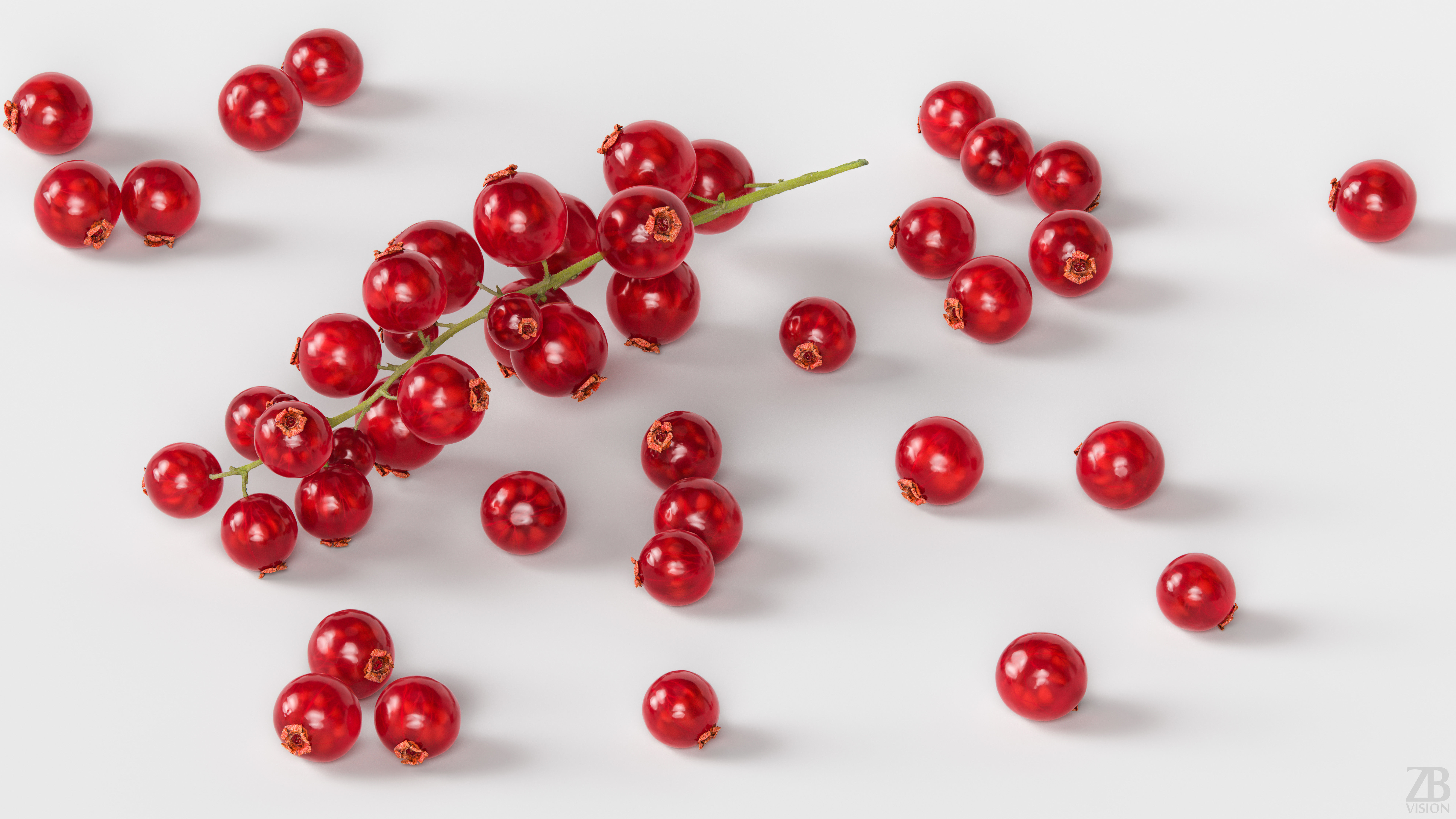 Currant 3D model_2