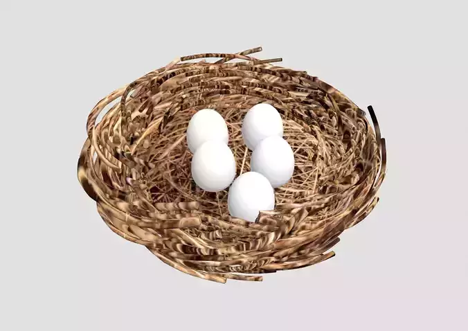 egg nest