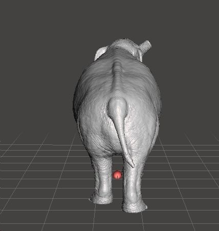 PLATYBELODON FIGURE MINIATURE MODEL CREATURE MONSTER DND RPG 3D print model_4
