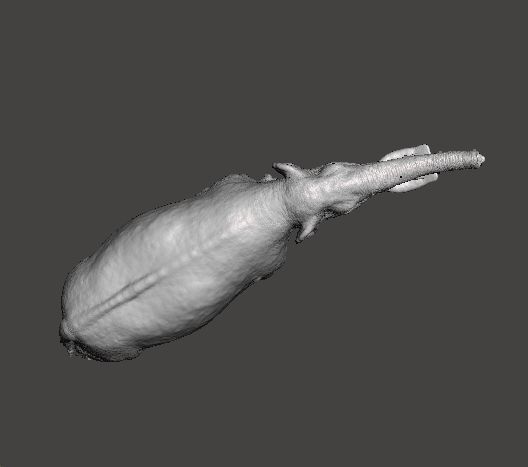 PLATYBELODON FIGURE MINIATURE MODEL CREATURE MONSTER DND RPG 3D print model_6