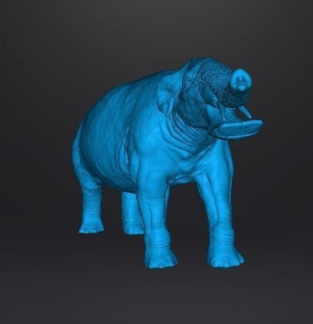PLATYBELODON FIGURE MINIATURE MODEL CREATURE MONSTER DND RPG 3D print model_10