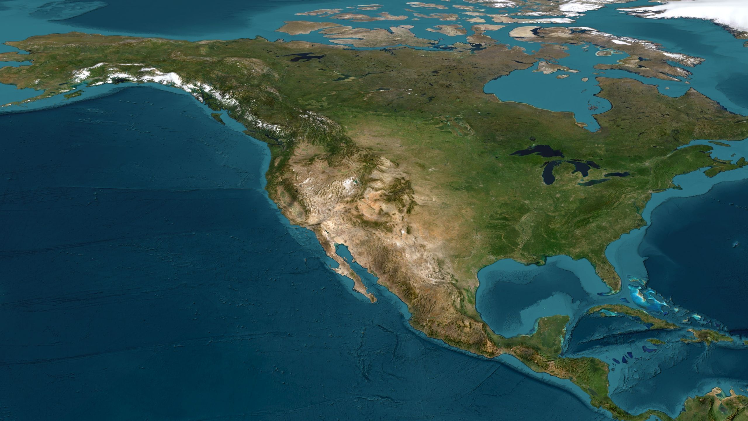 World Map Low-poly 3D model_4