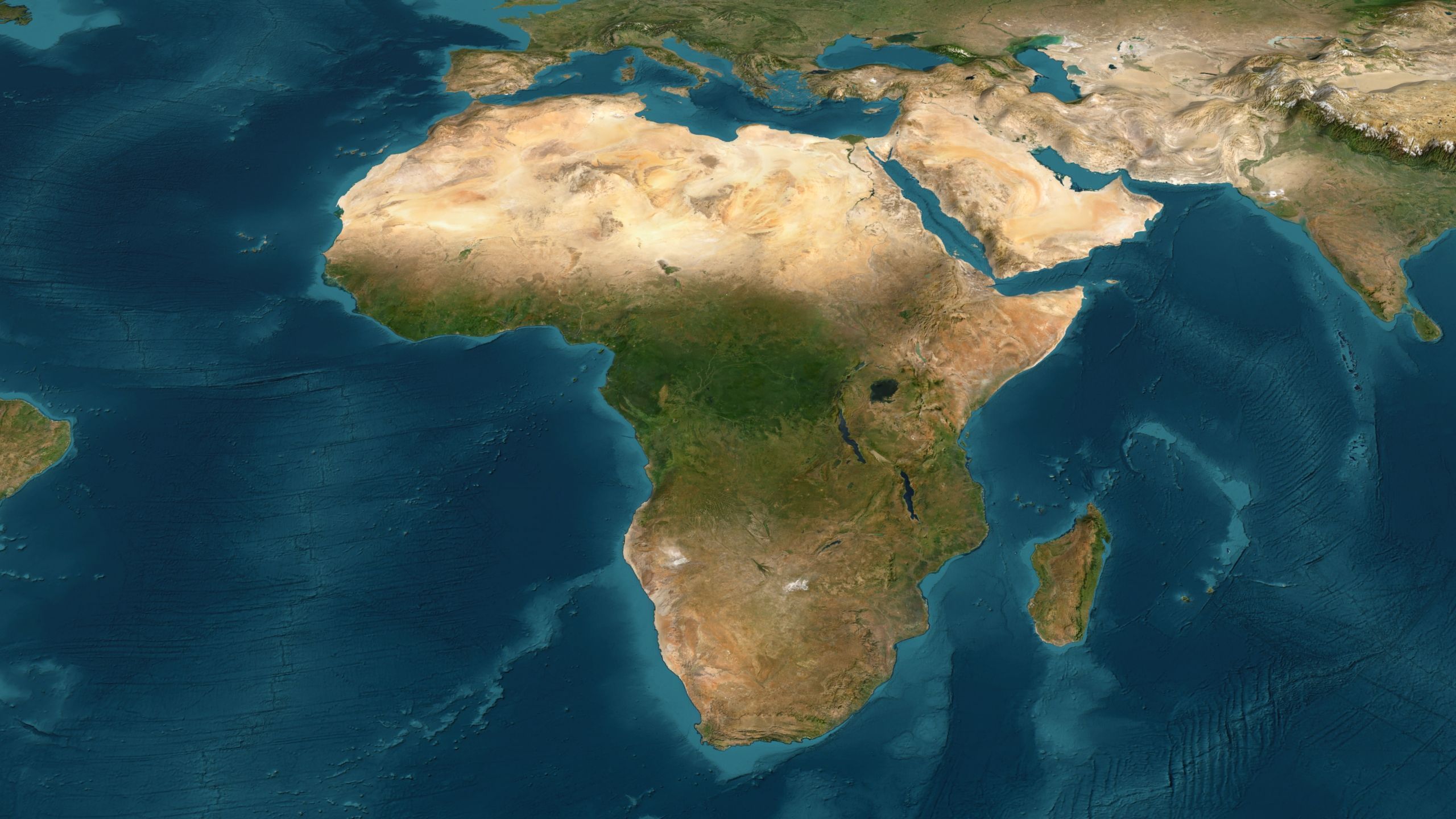 World Map Low-poly 3D model_3