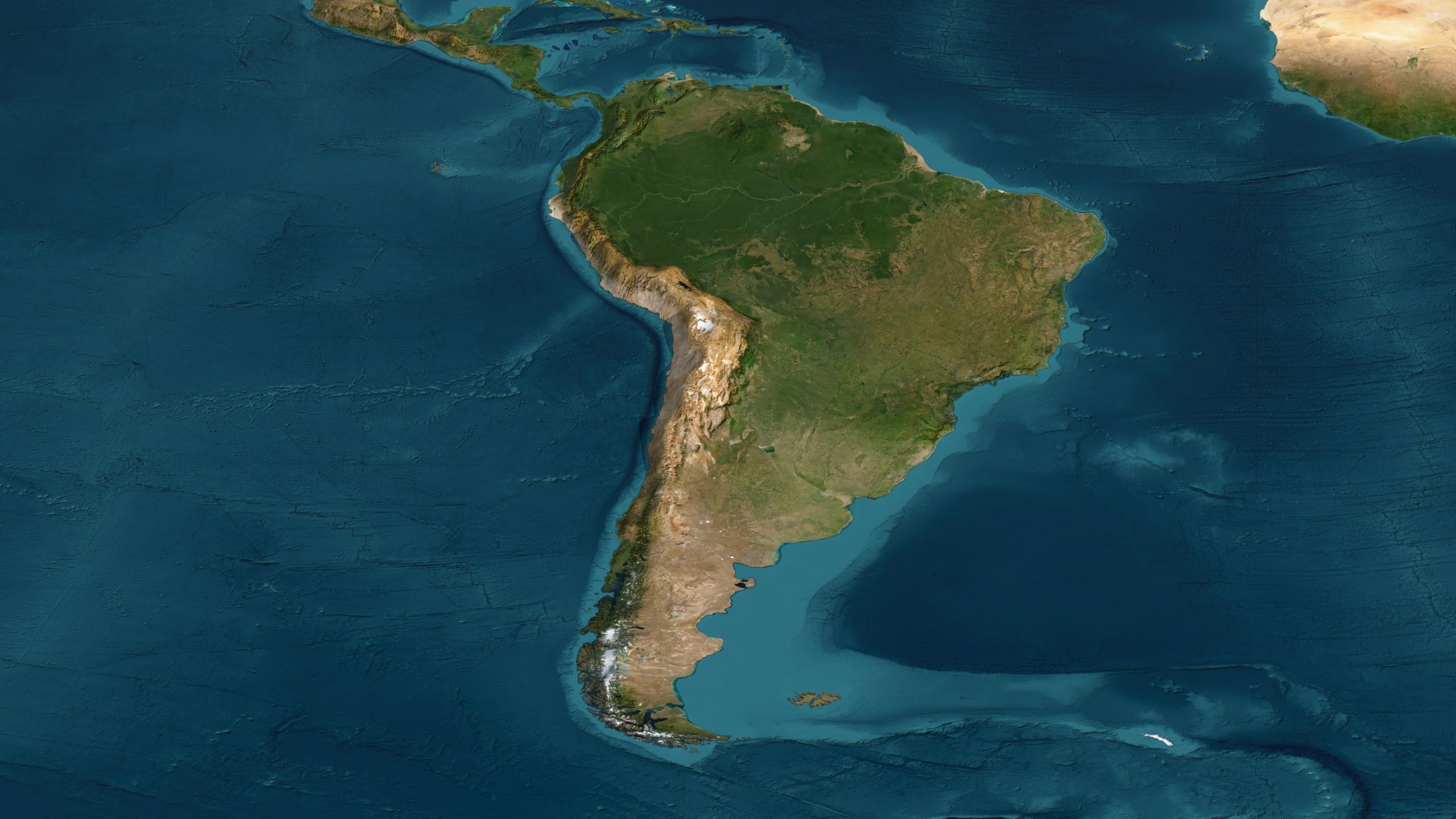 World Map Low-poly 3D model_5