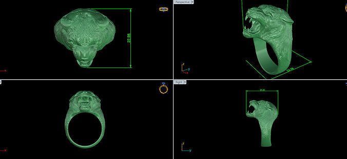 Ring tiger 3D print model