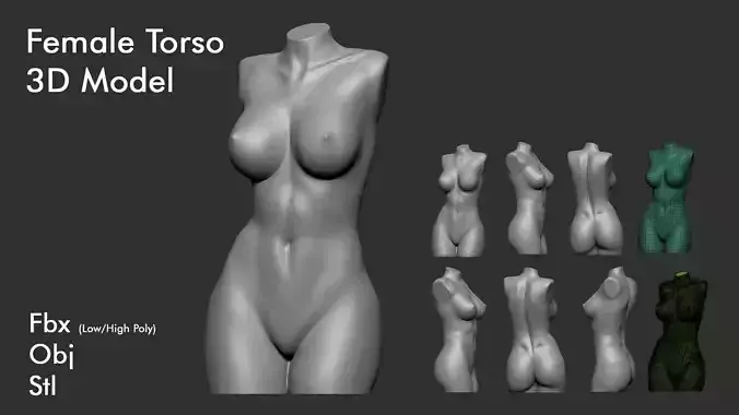 Female Torso 7 3D print model