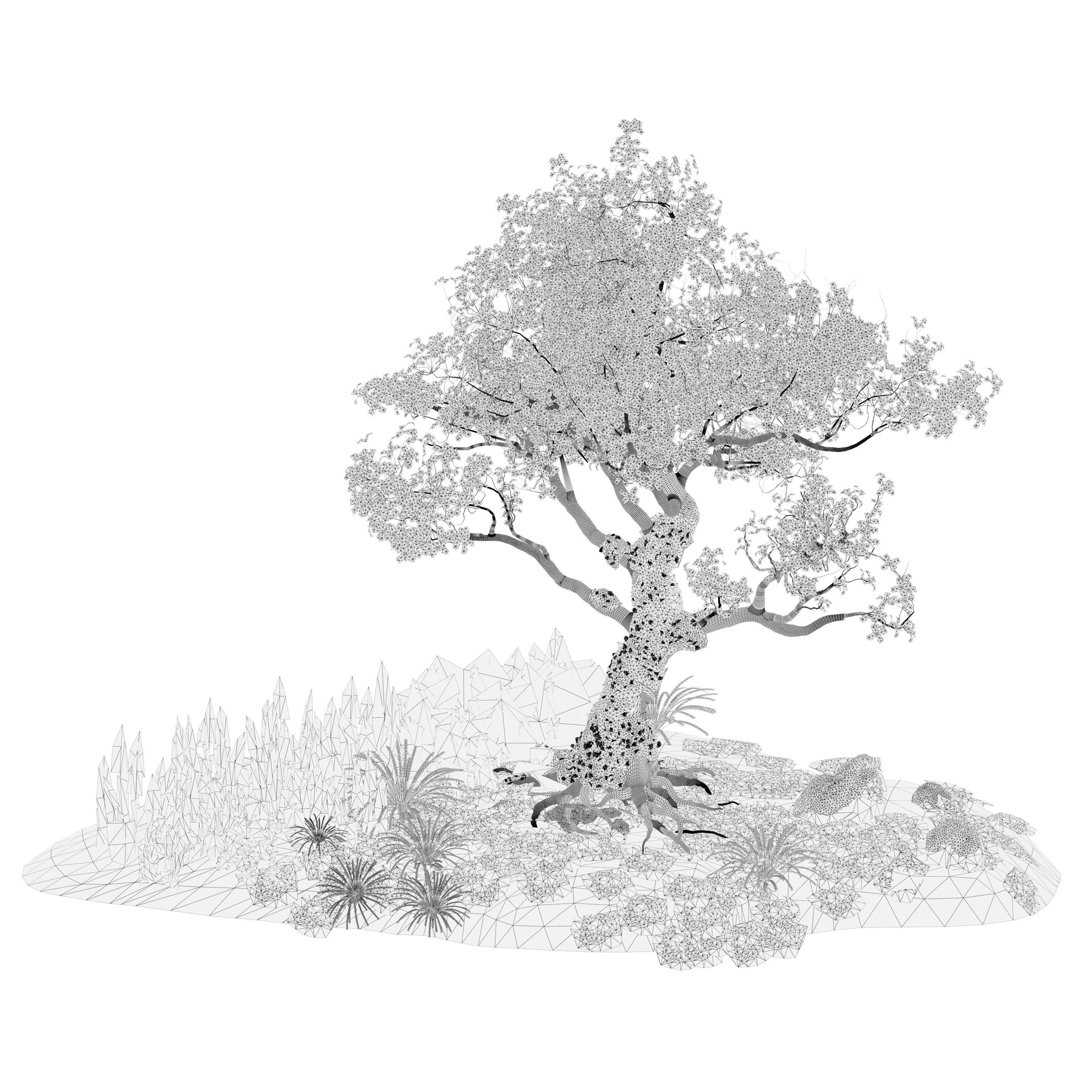 Tropical Paradise of Royal Poinciana trees 3D model_12