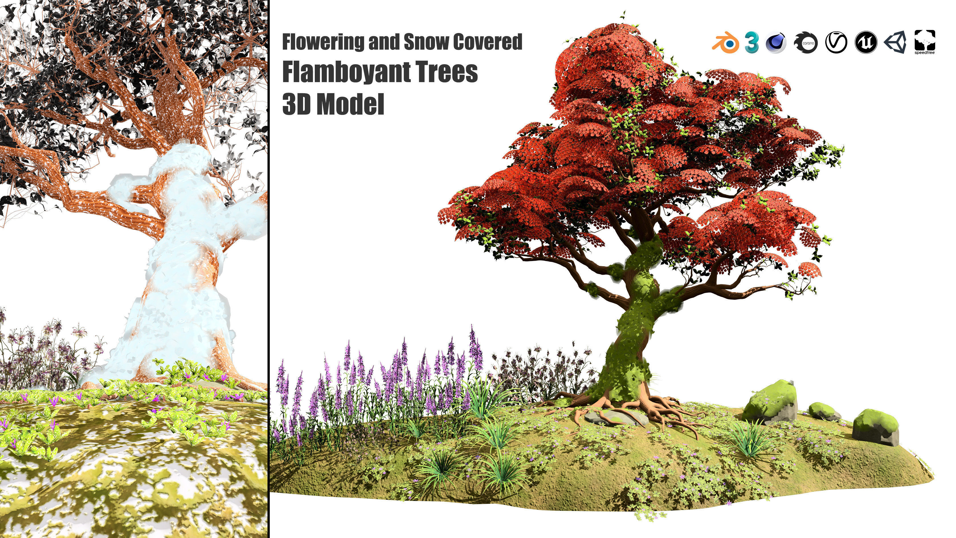 Tropical Paradise of Royal Poinciana trees 3D model_13