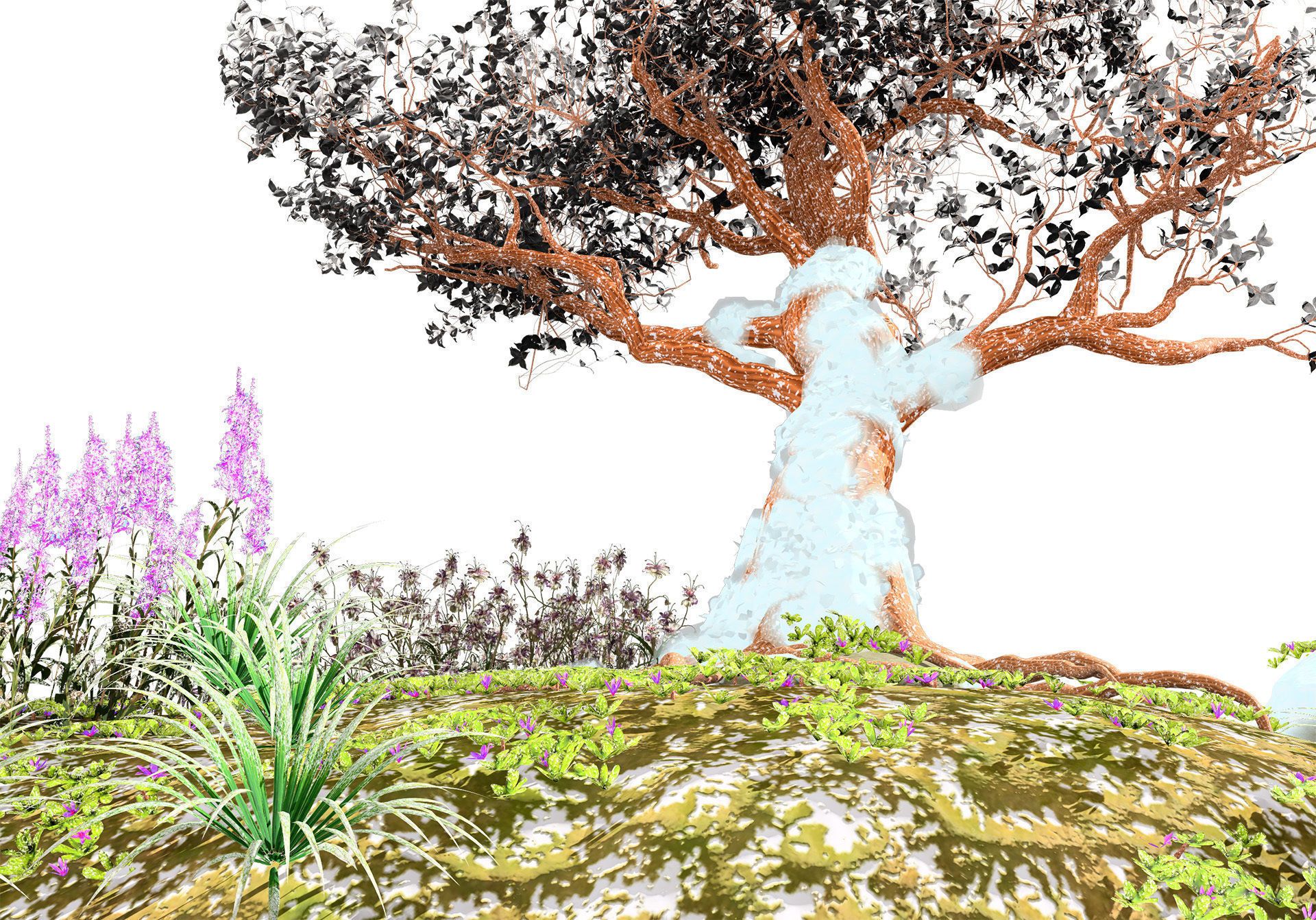 Tropical Paradise of Royal Poinciana trees 3D model_5