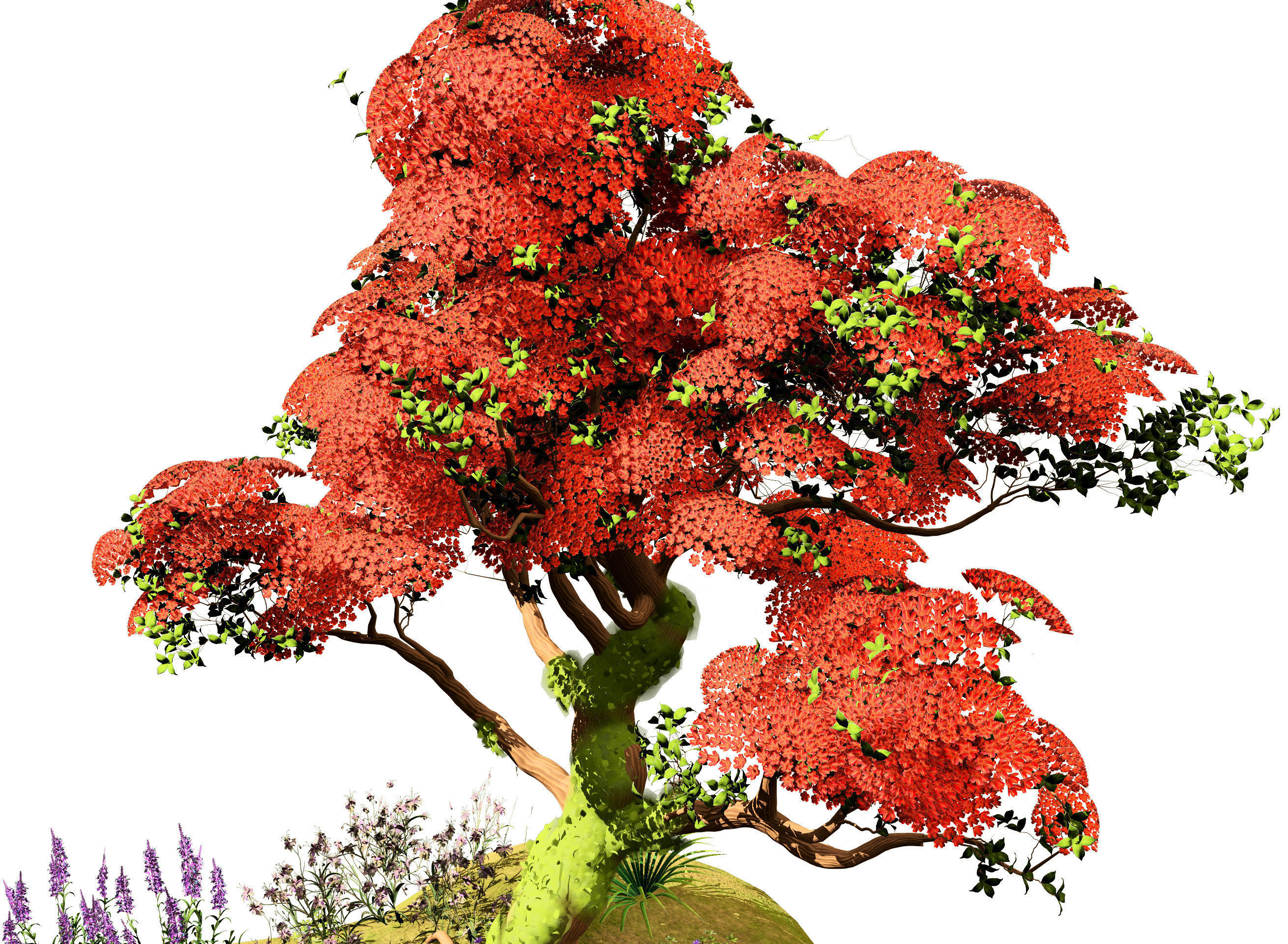 Tropical Paradise of Royal Poinciana trees 3D model_3