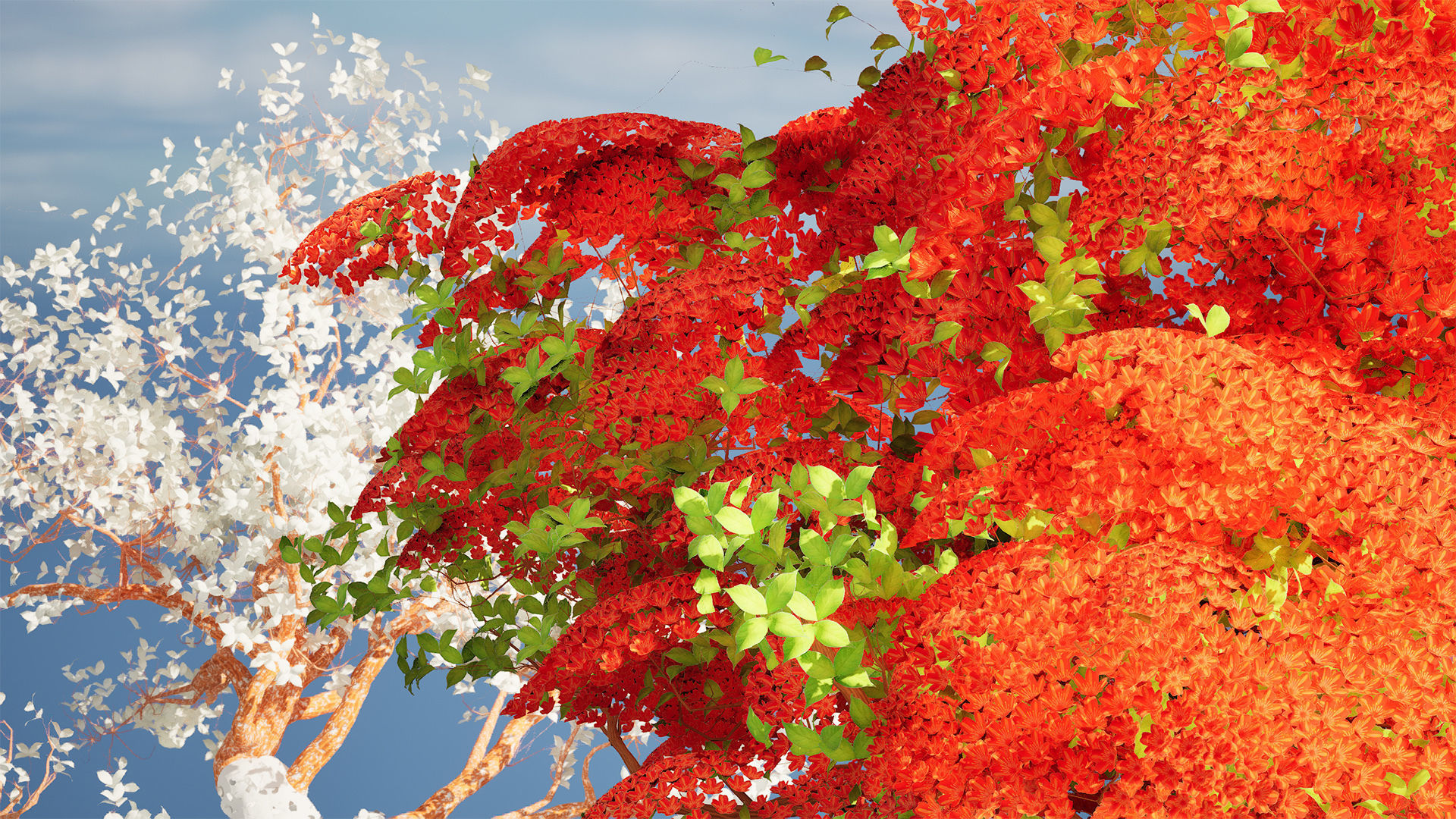 Tropical Paradise of Royal Poinciana trees 3D model_10