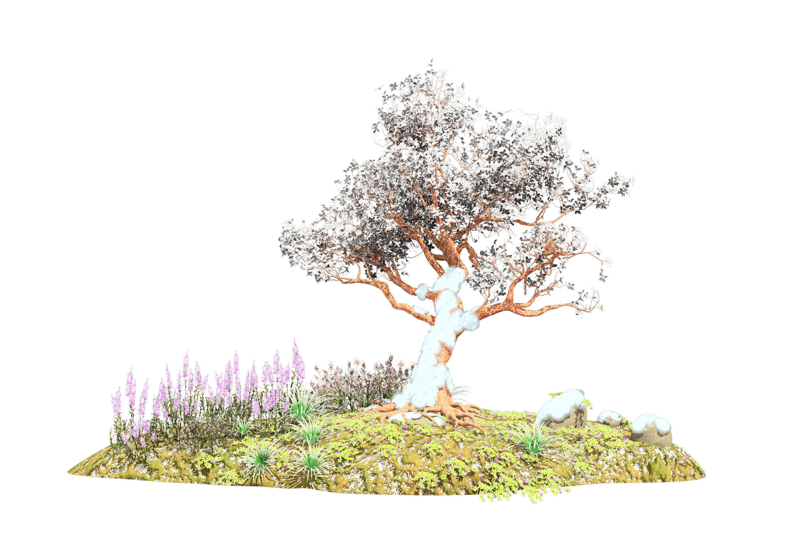 Tropical Paradise of Royal Poinciana trees 3D model_4