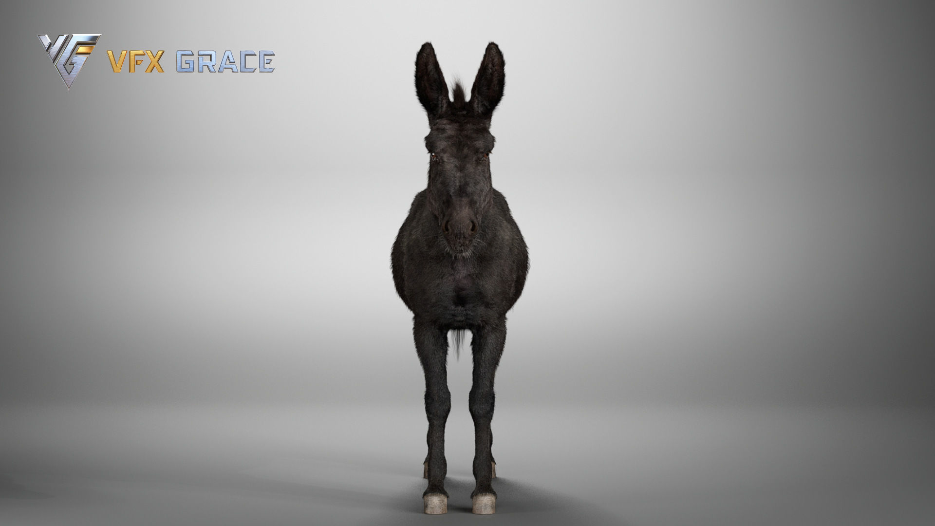 Donkey Winter UE Character Asset 3D model_9