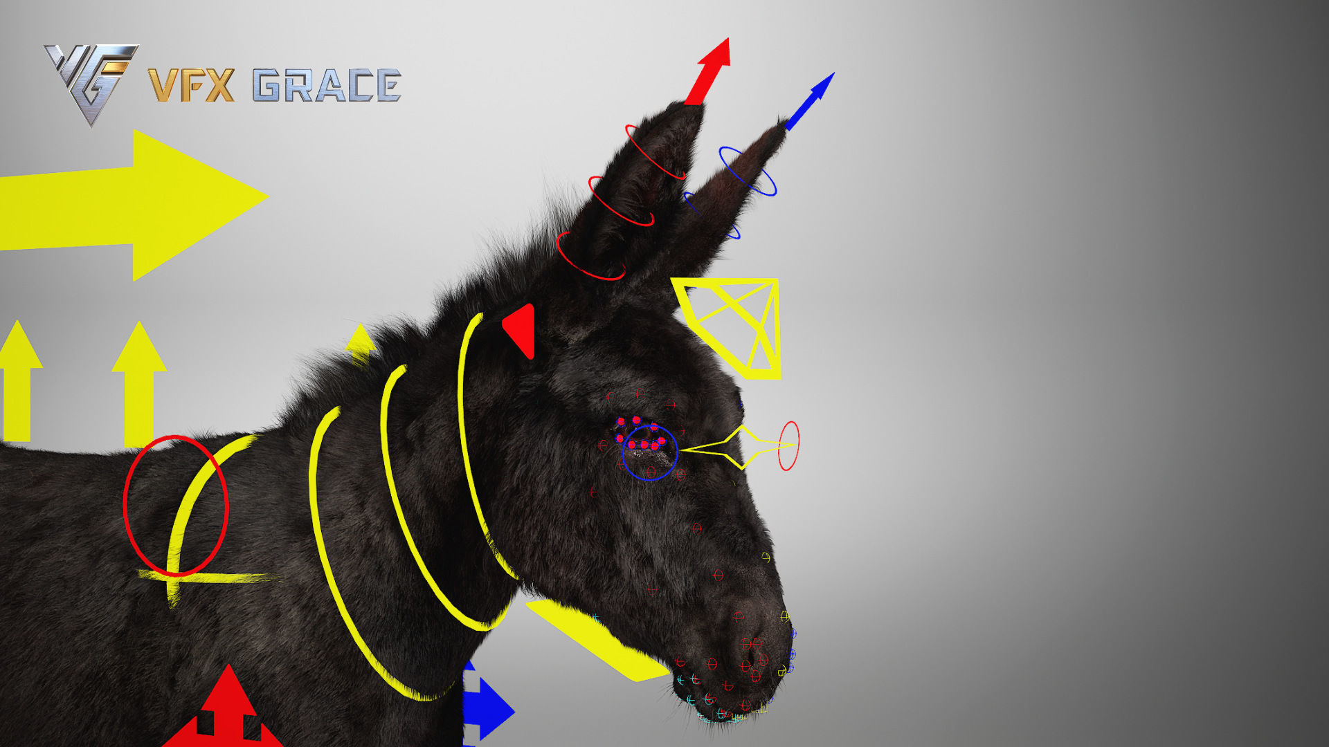 Donkey Winter UE Character Asset 3D model_19