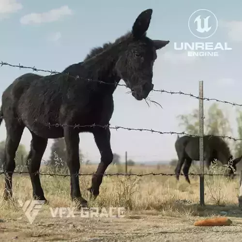 Donkey Winter  UE Character Asset 3D model