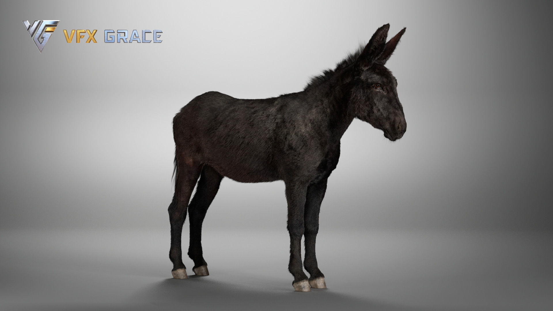 Donkey Winter UE Character Asset 3D model_13
