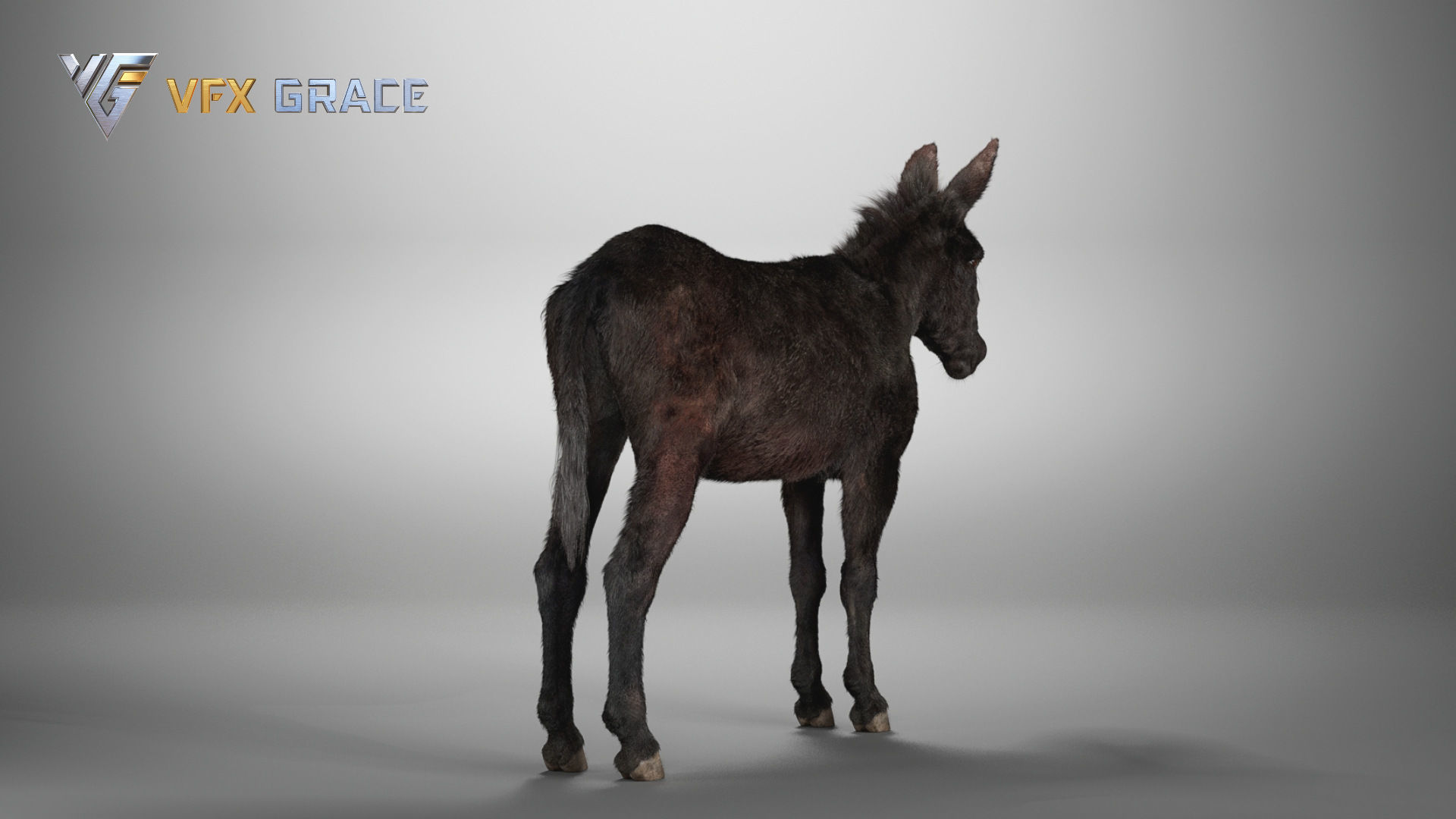 Donkey Winter UE Character Asset 3D model_11