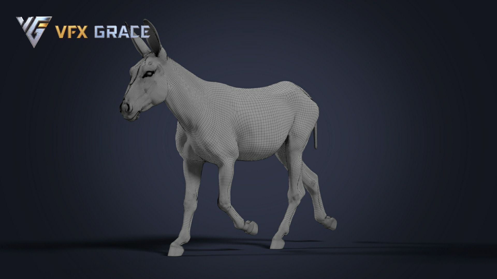 Donkey Winter UE Character Asset 3D model_14