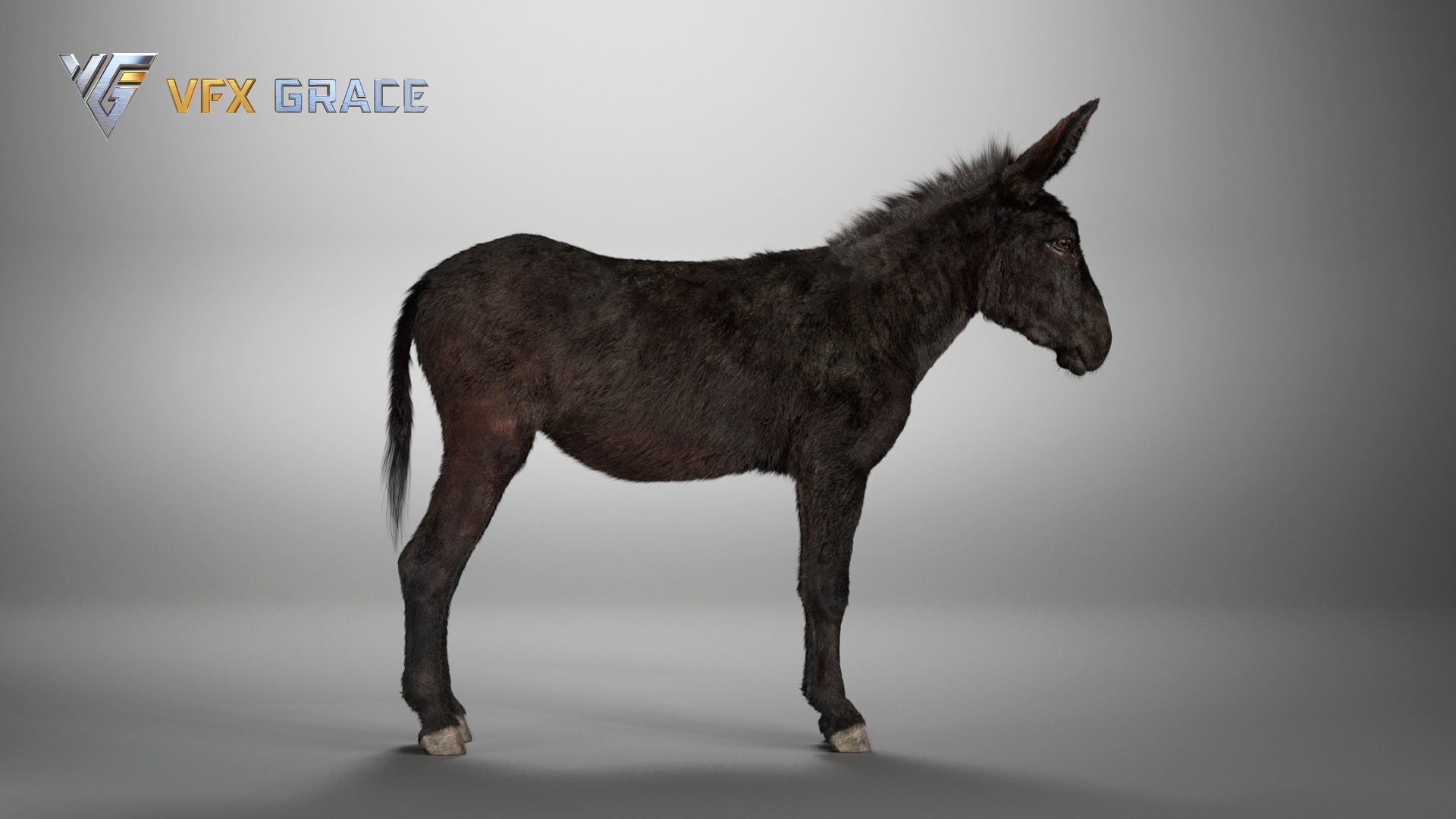 Donkey Winter UE Character Asset 3D model_12