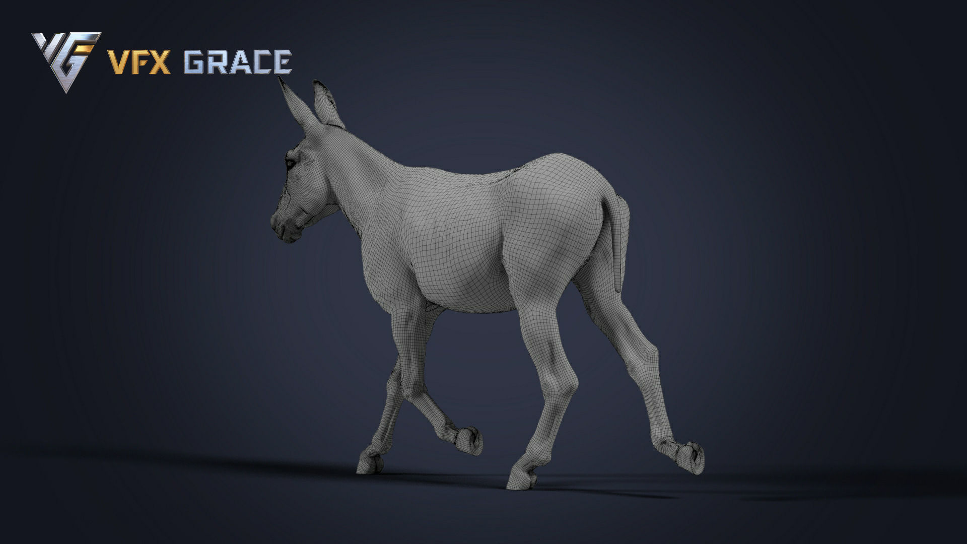 Donkey Winter UE Character Asset 3D model_16