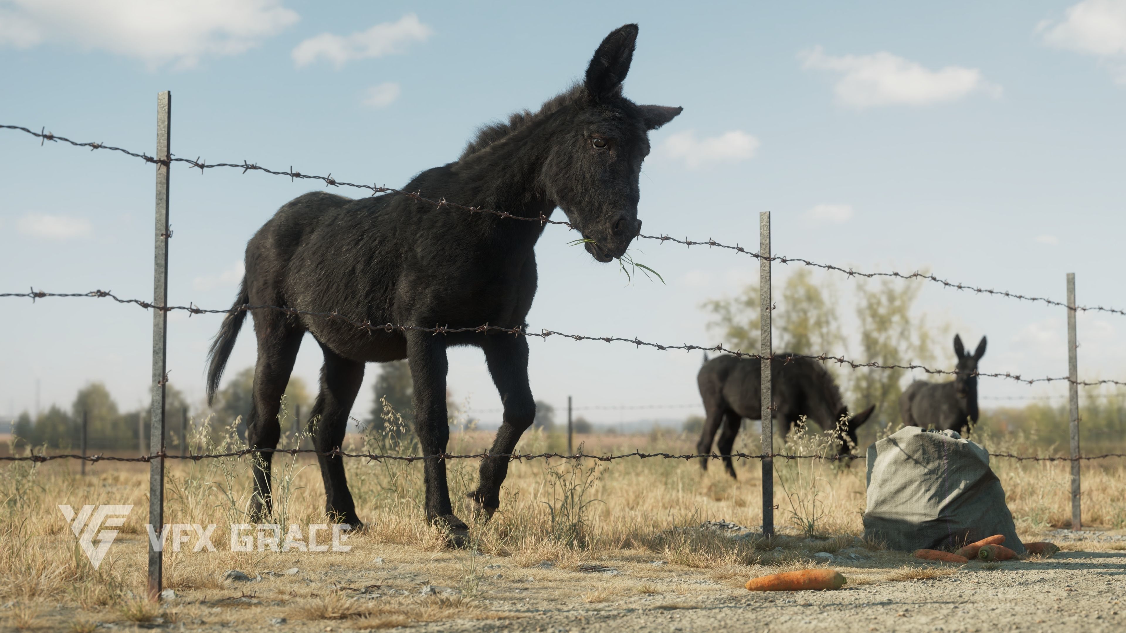 Donkey Winter UE Character Asset 3D model_6