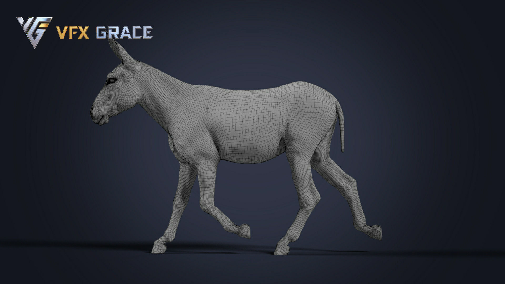 Donkey Winter UE Character Asset 3D model_15