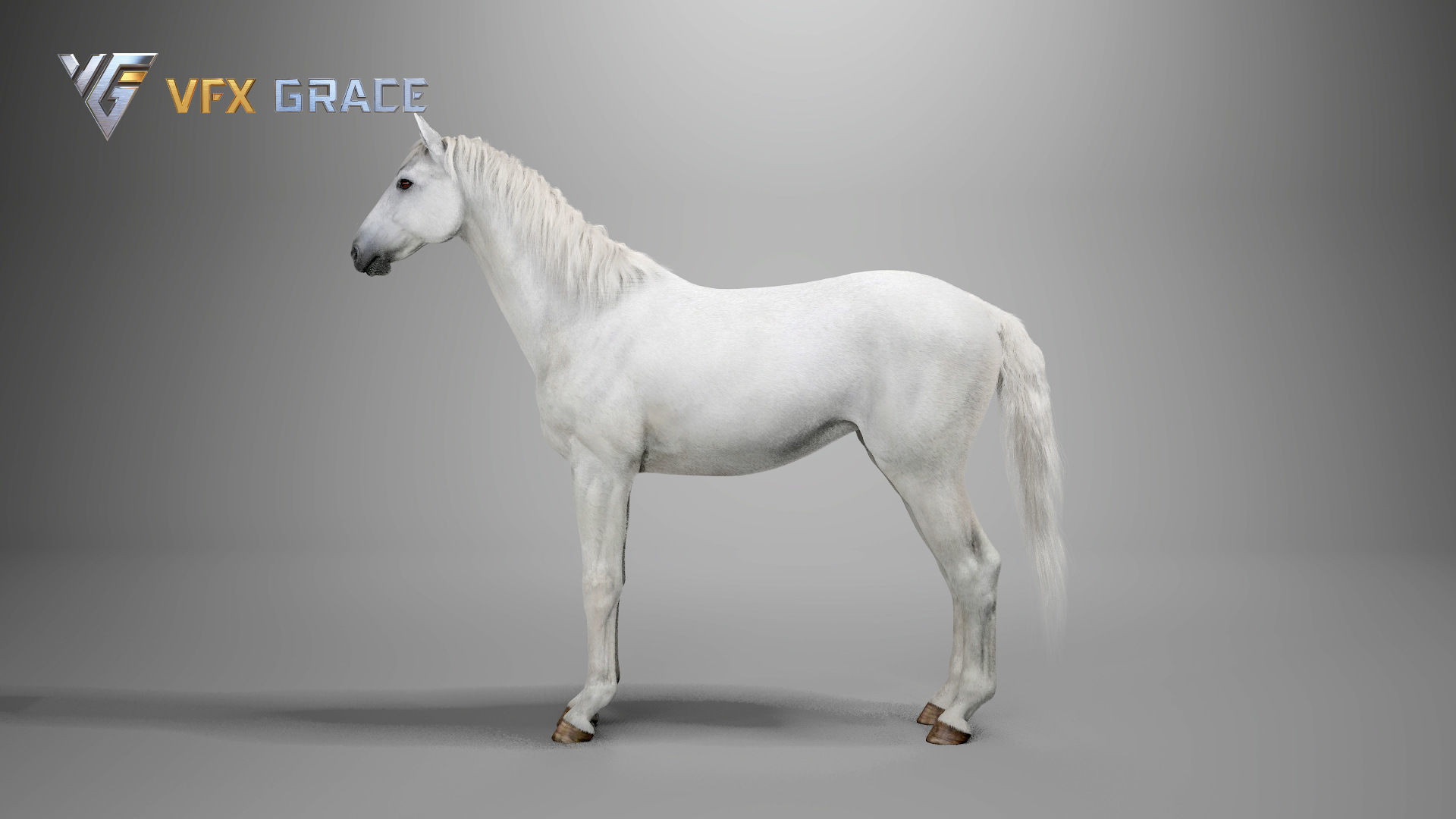 Horse White UE Character Asset 3D model_11