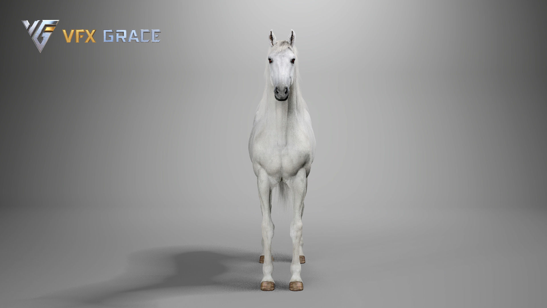 Horse White UE Character Asset 3D model_9