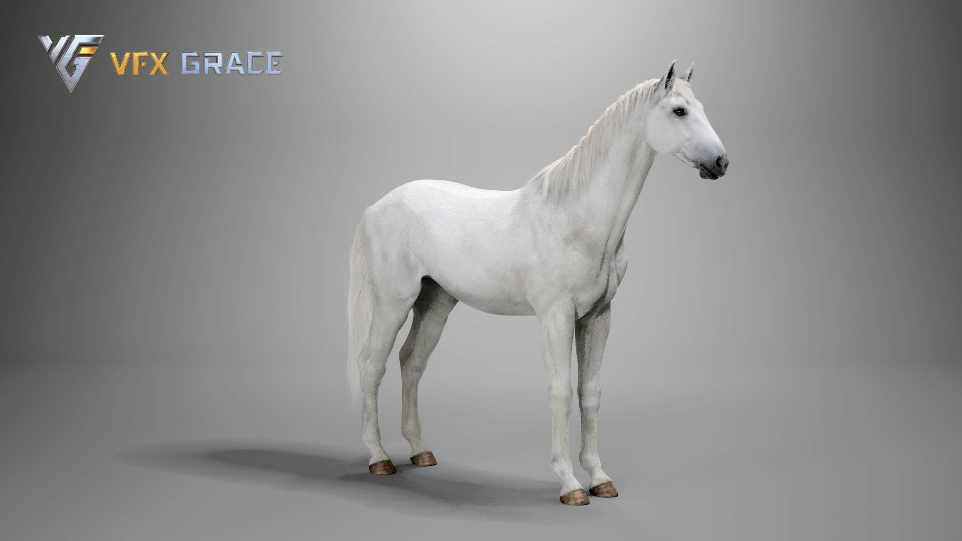 Horse White UE Character Asset 3D model_14