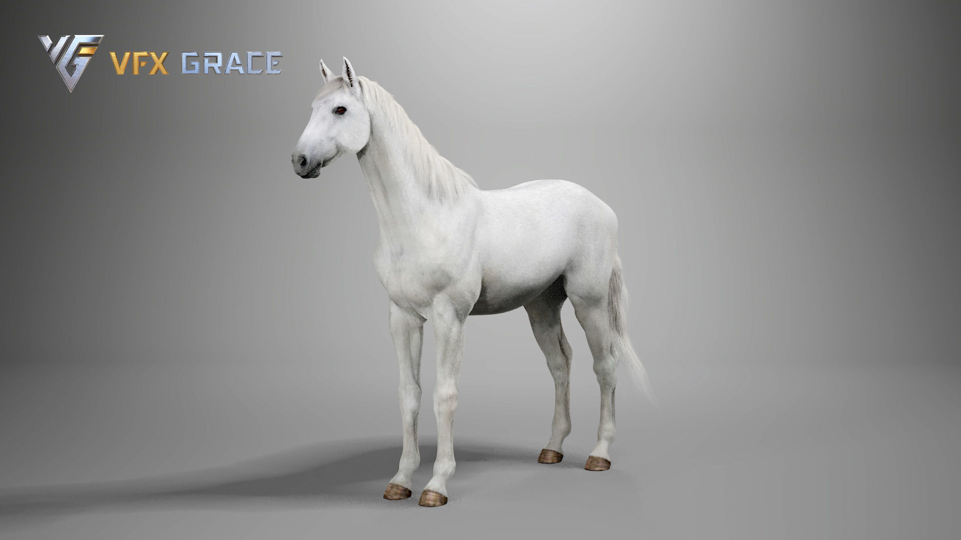 Horse White UE Character Asset 3D model_10
