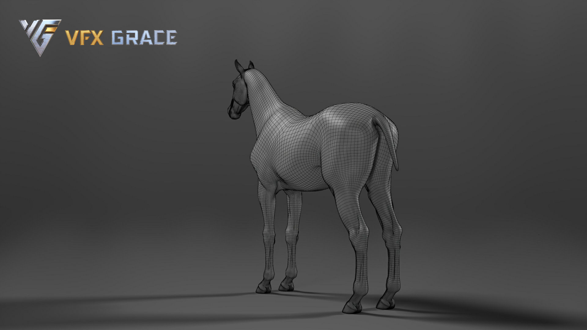 Horse White UE Character Asset 3D model_16