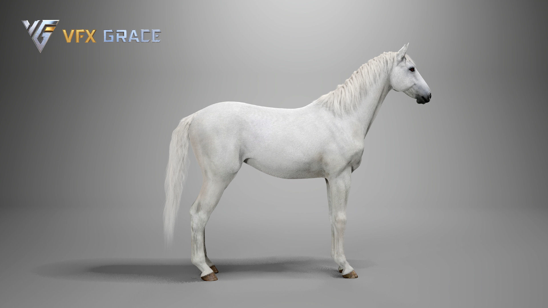 Horse White UE Character Asset 3D model_13