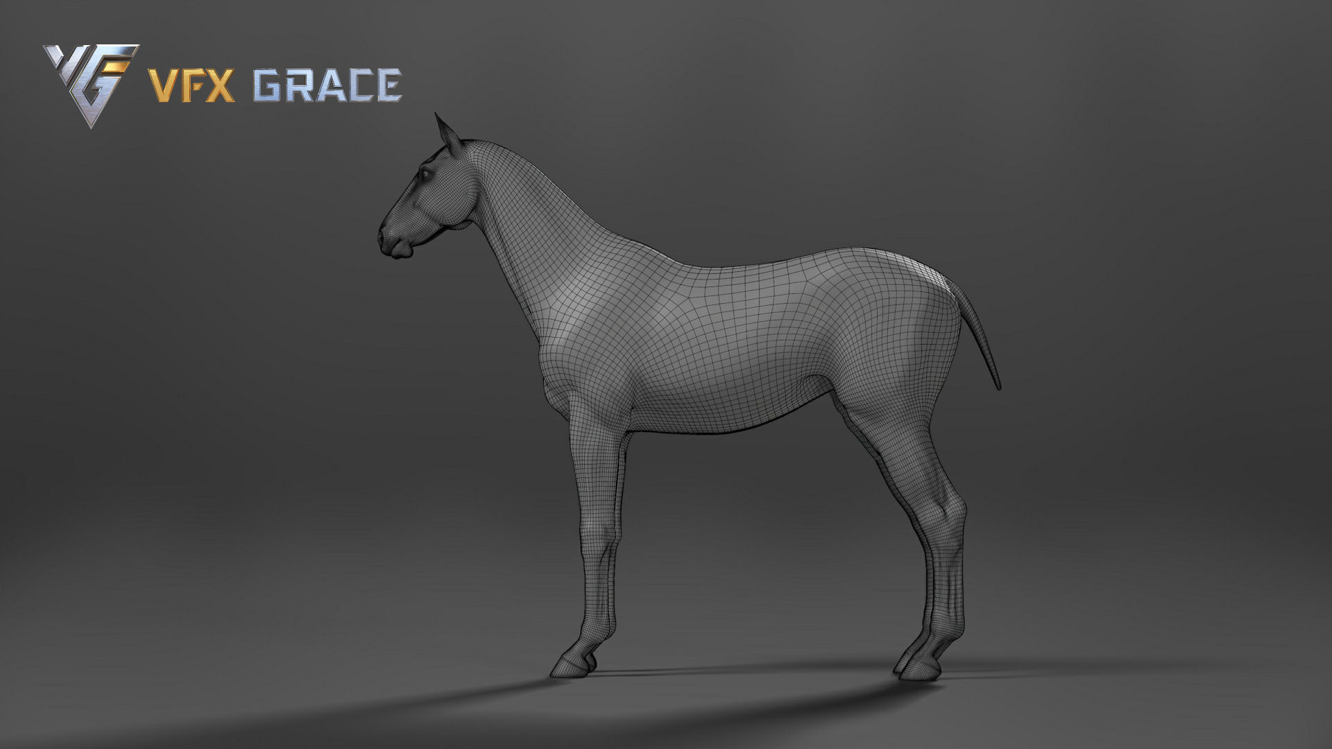 Horse White UE Character Asset 3D model_17