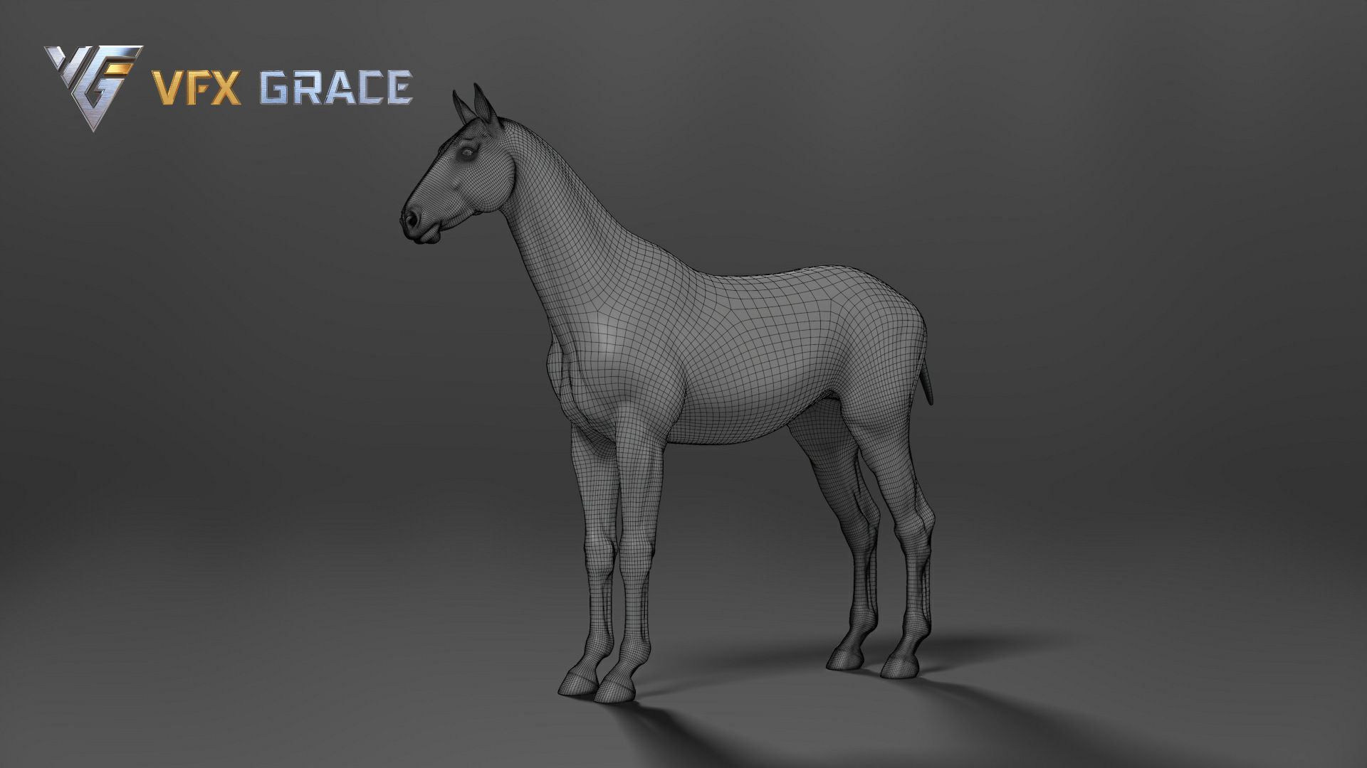 Horse White UE Character Asset 3D model_15