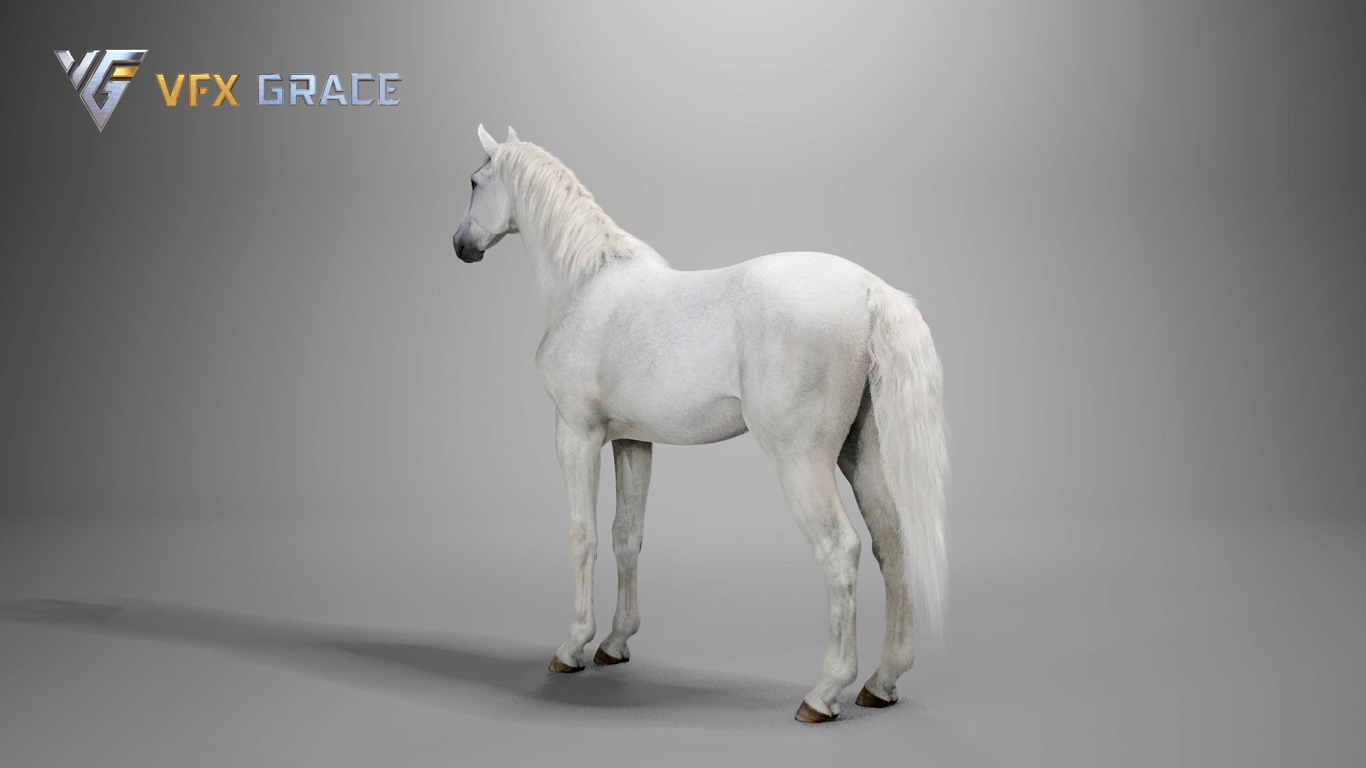 Horse White UE Character Asset 3D model_12