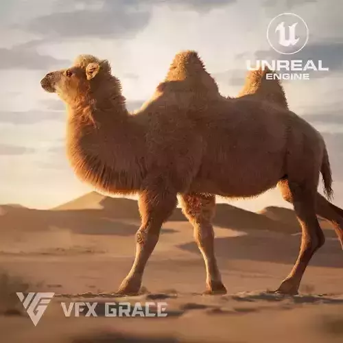 BactrianCamel  UE Character Asset 3D model