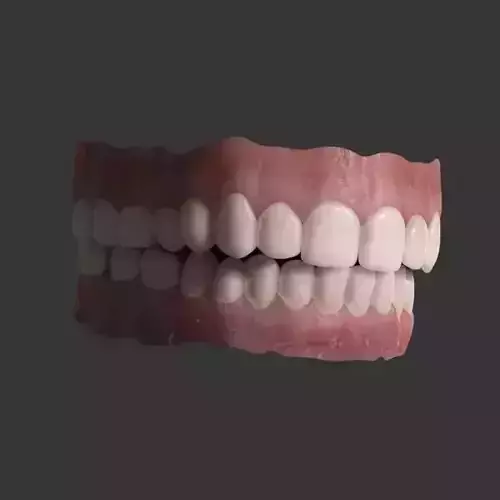 teeth mouth with 3D model