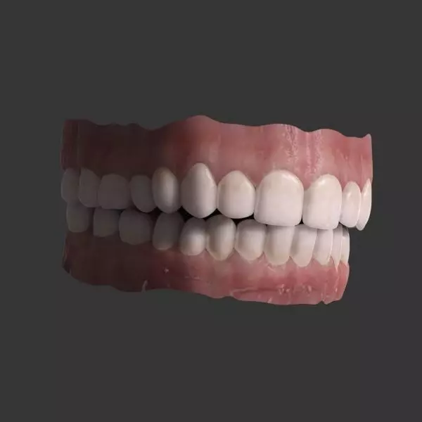 teeth mouth with 3D model_0