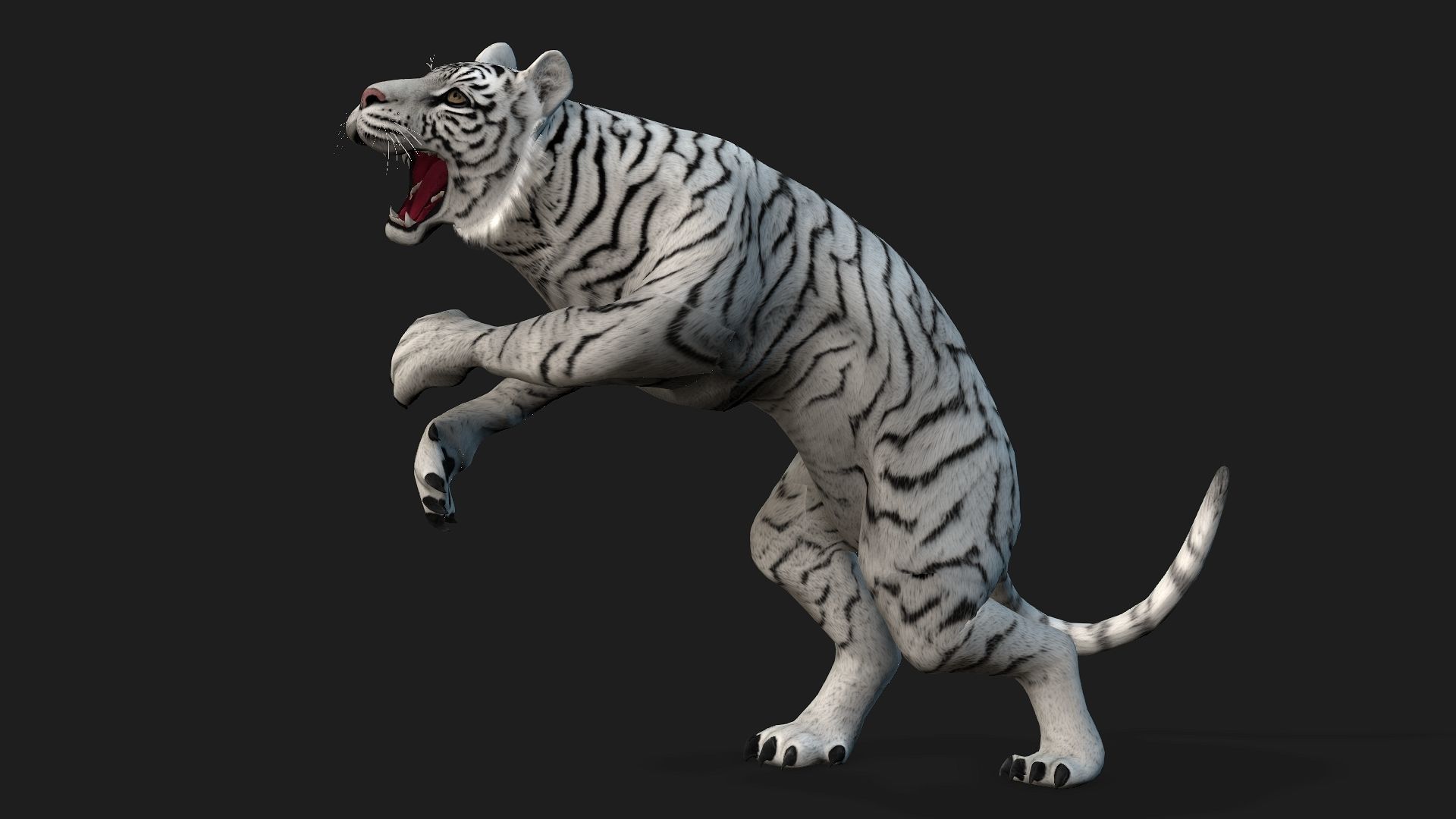 Tiger A2 3D model_12
