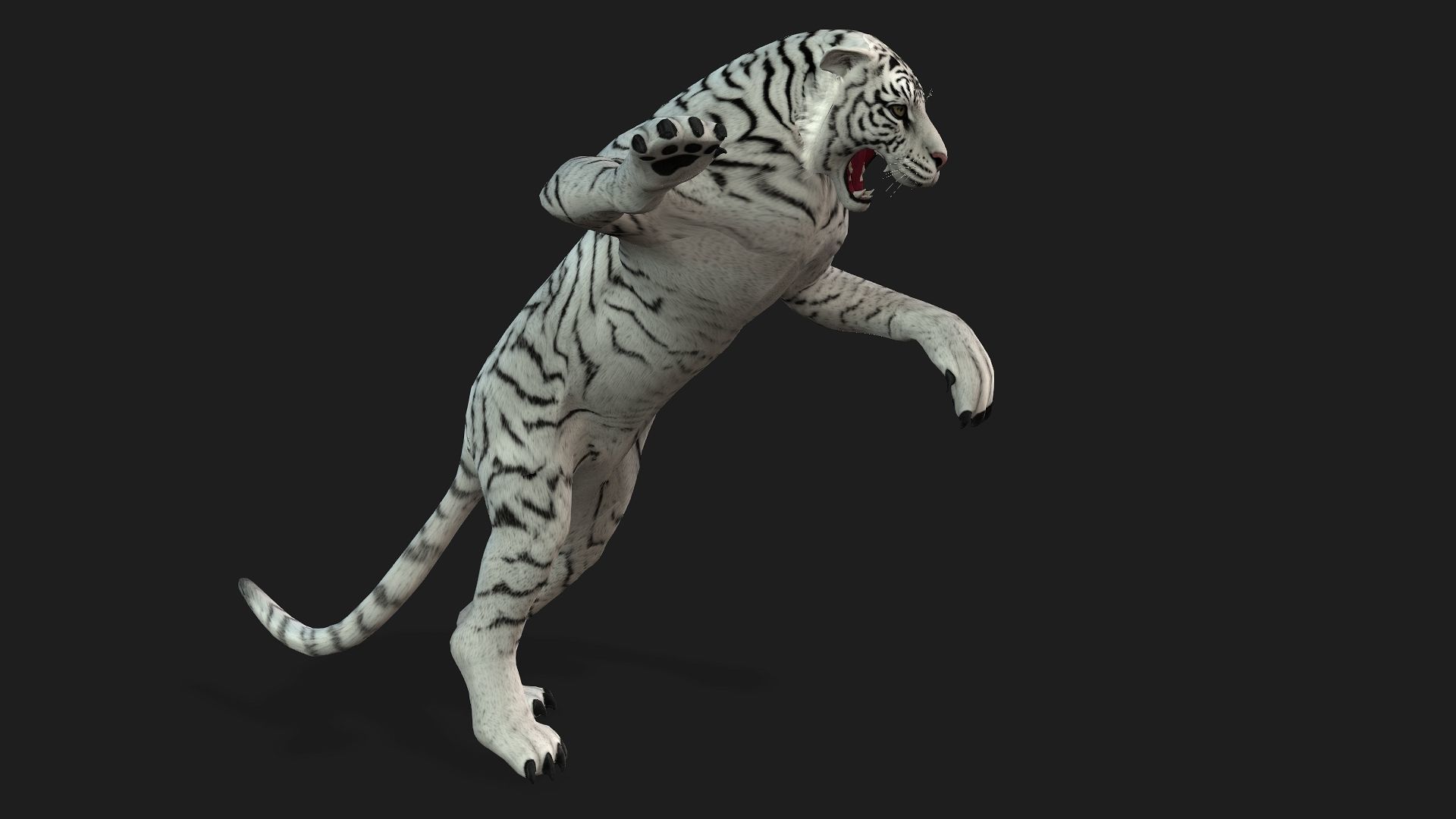 Tiger A2 3D model_11