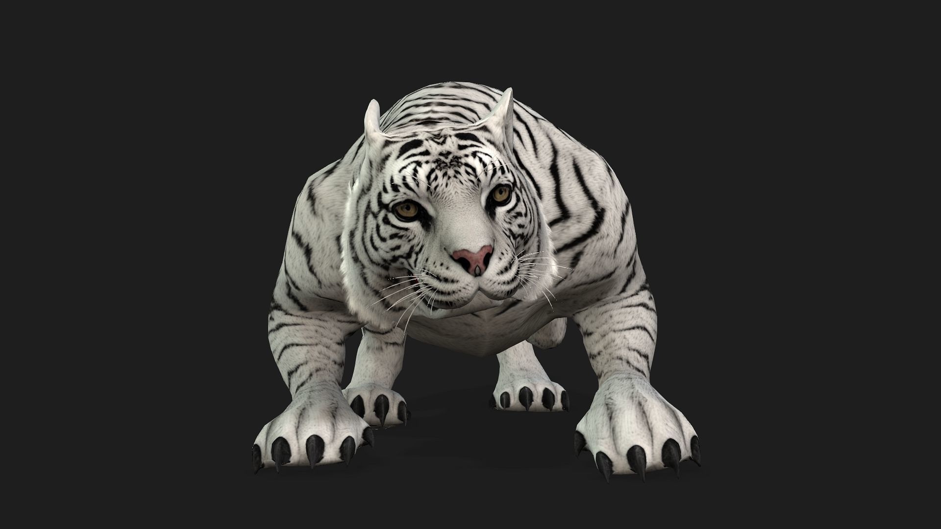 Tiger A2 3D model_15